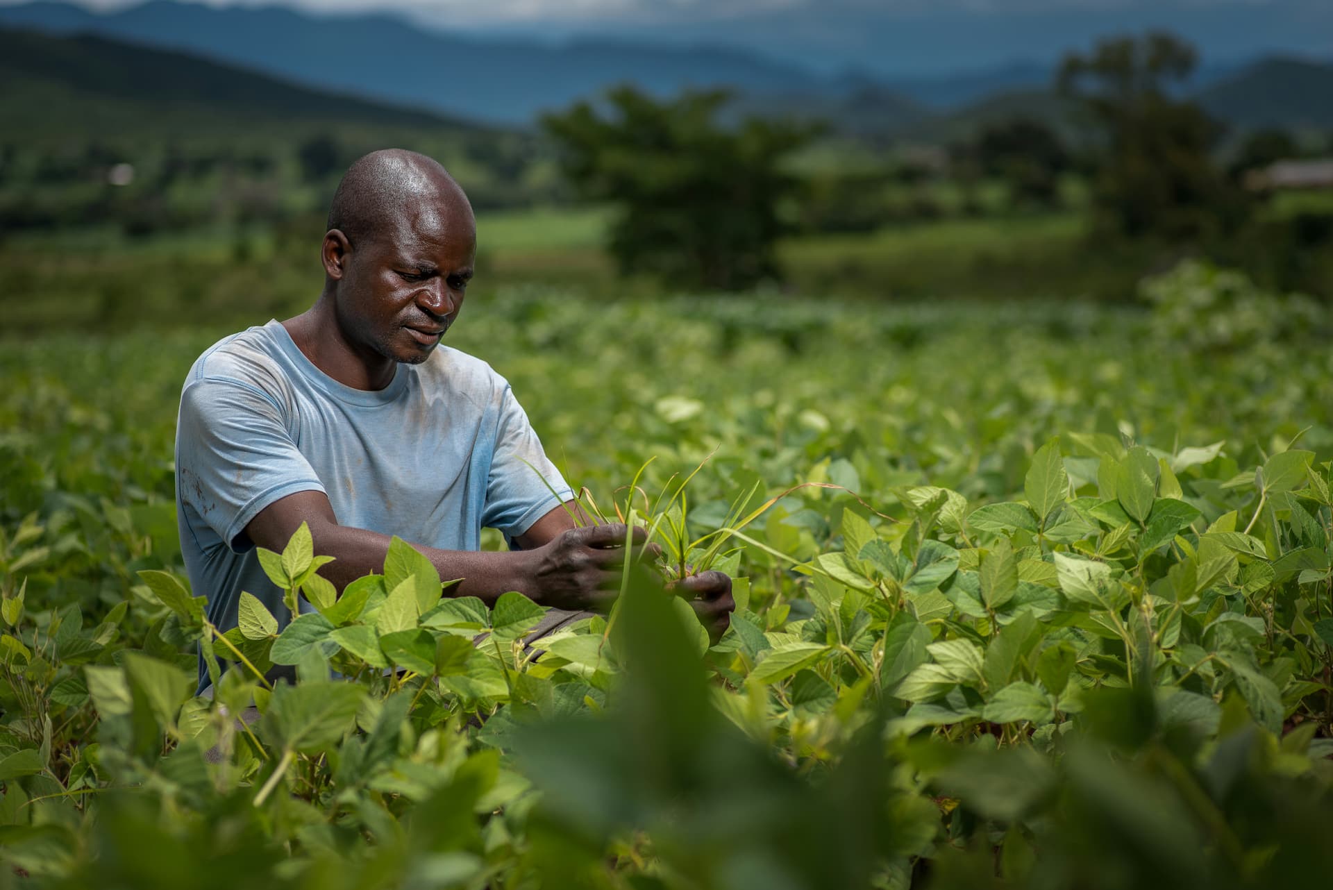 Farmers in rural Nigeria